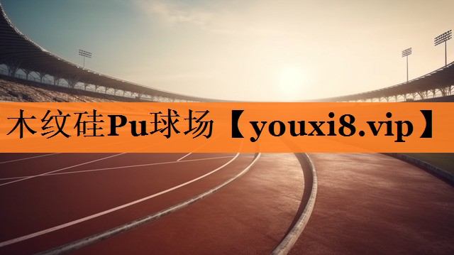 <strong>木纹硅Pu球场</strong>