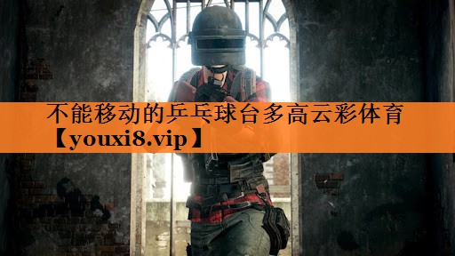不能移动的乒乓球台多高云彩体育