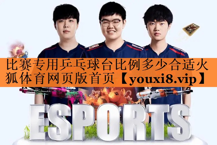 比赛专用乒乓球台比例多少合适火狐体育网页版首页