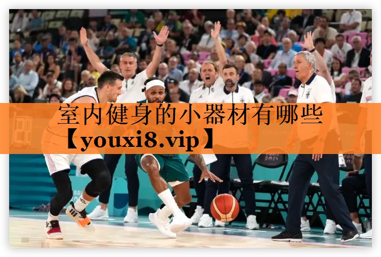 <strong>室内健身的小器材有哪些</strong>