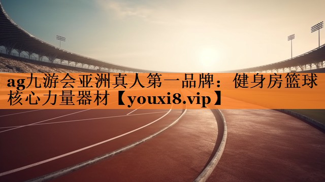 <strong>ag九游会亚洲真人第一品牌：健身房篮球核心力量器材</strong>