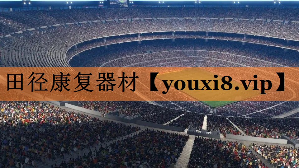 <strong>田径康复器材</strong>