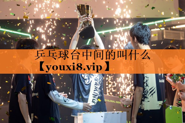 乒乓球台中间的叫什么