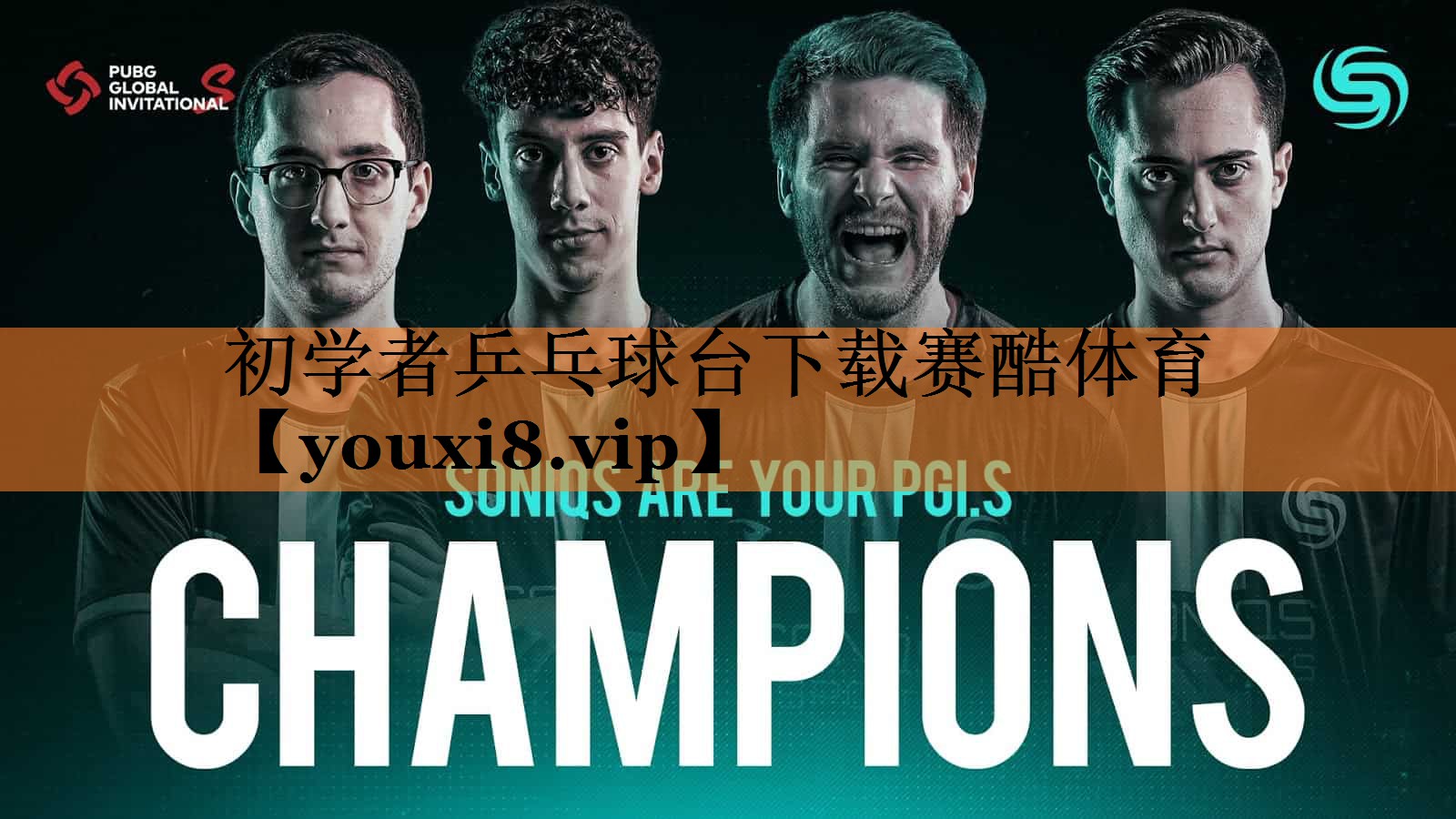 <strong>初学者乒乓球台下载赛酷体育</strong>