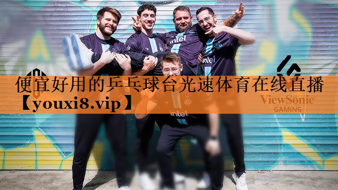 便宜好用的乒乓球台光速体育在线直播