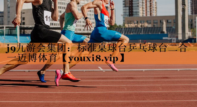 j9九游会集团：标准桌球台乒乓球台二合一迈博体育