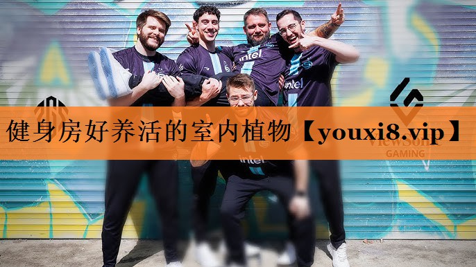 健身房好养活的室内植物