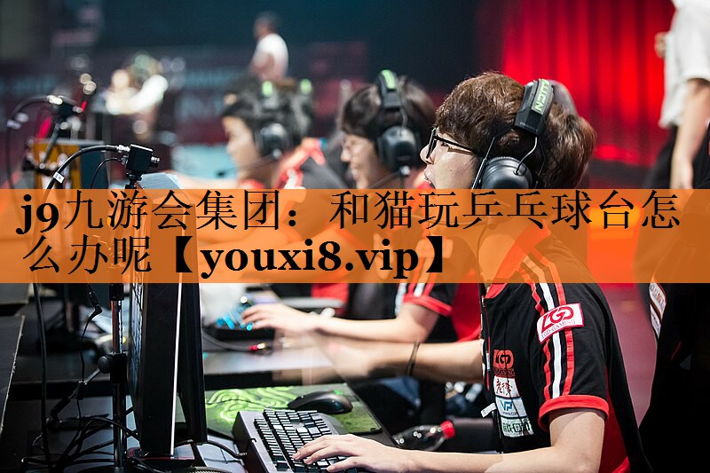 和猫玩乒乓球台怎么办呢