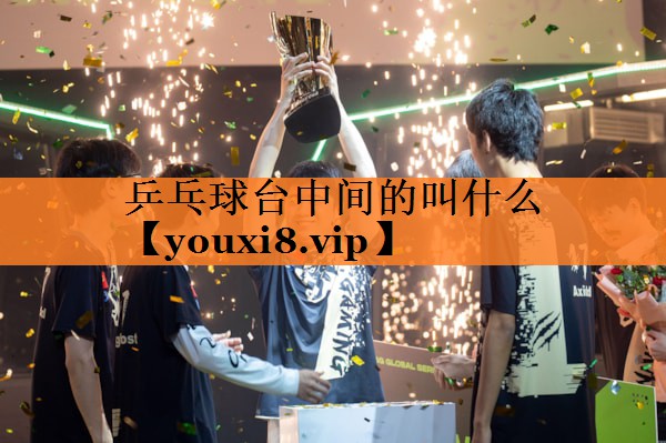 乒乓球台中间的叫什么