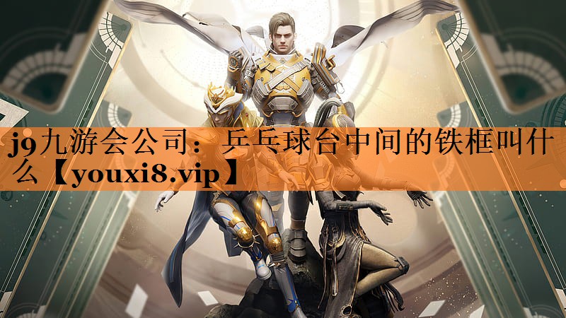 乒乓球台中间的铁框叫什么