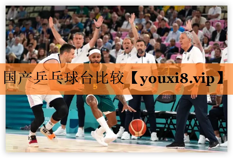 <strong>国产乒乓球台比较</strong>