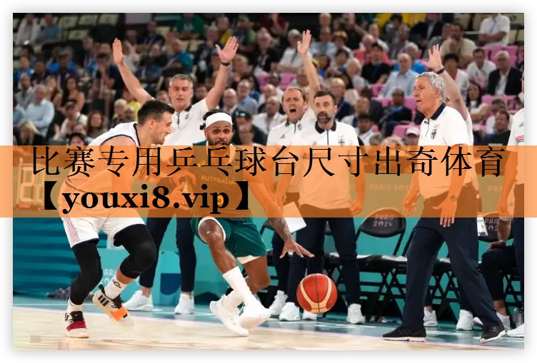 比赛专用乒乓球台尺寸出奇体育