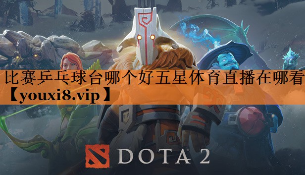 比赛乒乓球台哪个好五星体育直播在哪看