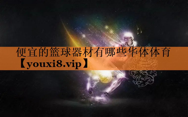 便宜的篮球器材有哪些华体体育