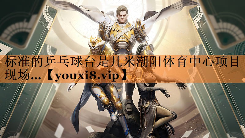 标准的乒乓球台是几米潮阳体育中心项目现场…